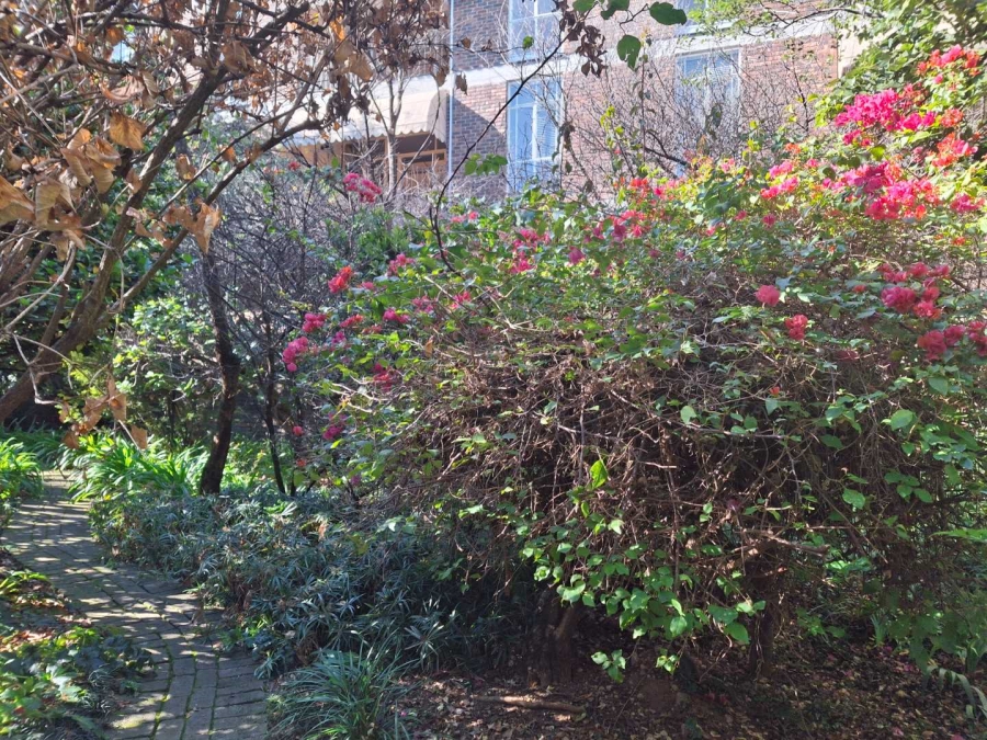 To Let 3 Bedroom Property for Rent in Benmore Gardens Gauteng