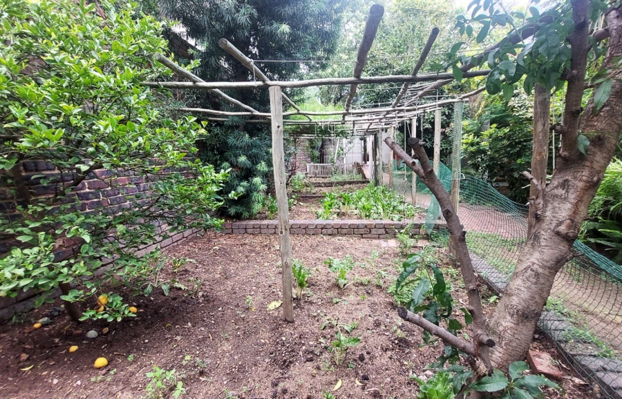 To Let 4 Bedroom Property for Rent in Edenburg Gauteng