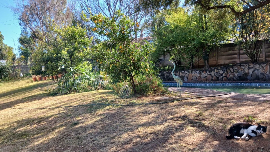 To Let 1 Bedroom Property for Rent in Parkmore Gauteng