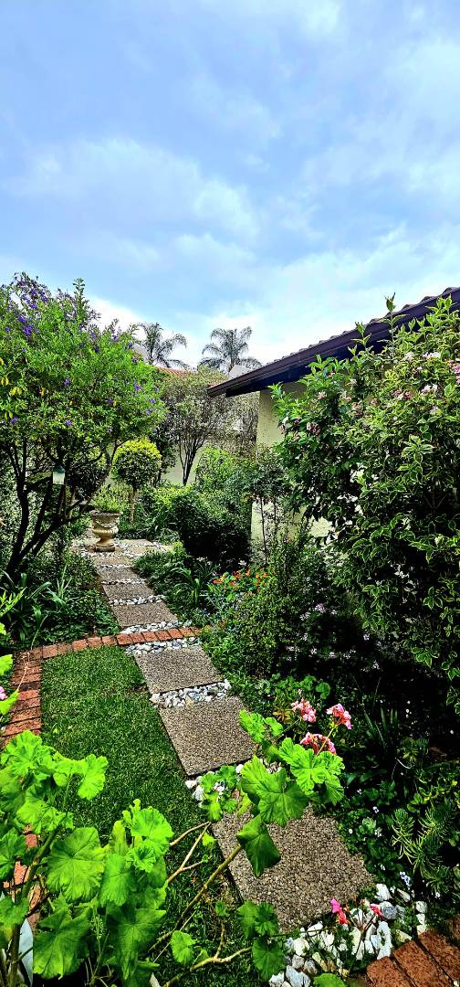 To Let 3 Bedroom Property for Rent in Strathavon Gauteng