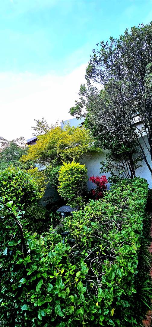 To Let 3 Bedroom Property for Rent in Strathavon Gauteng