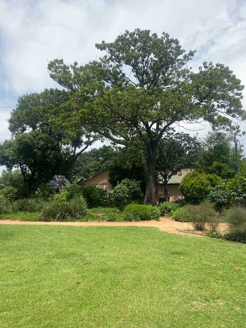 3 Bedroom Property for Sale in Harveston A H Gauteng