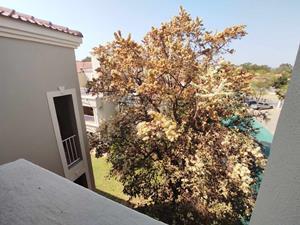 To Let 1 Bedroom Property for Rent in Northwold Gauteng