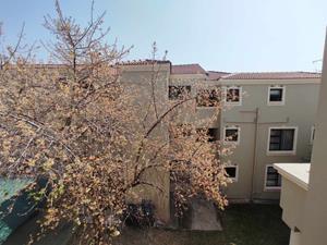 To Let 1 Bedroom Property for Rent in Northwold Gauteng