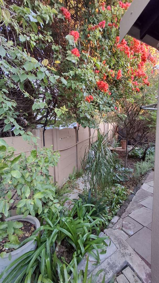 2 Bedroom Property for Sale in Randpark Ridge Gauteng