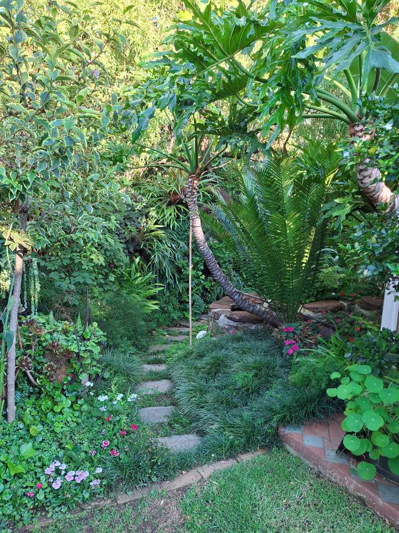 2 Bedroom Property for Sale in Randpark Ridge Gauteng