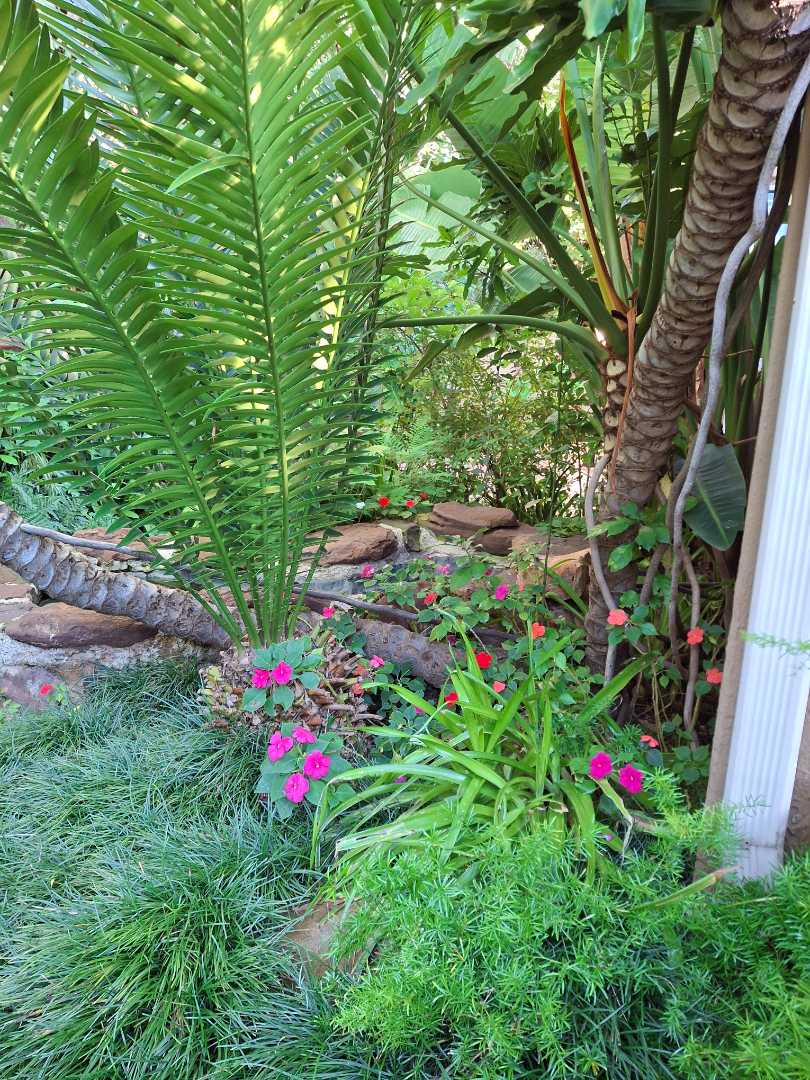 2 Bedroom Property for Sale in Randpark Ridge Gauteng