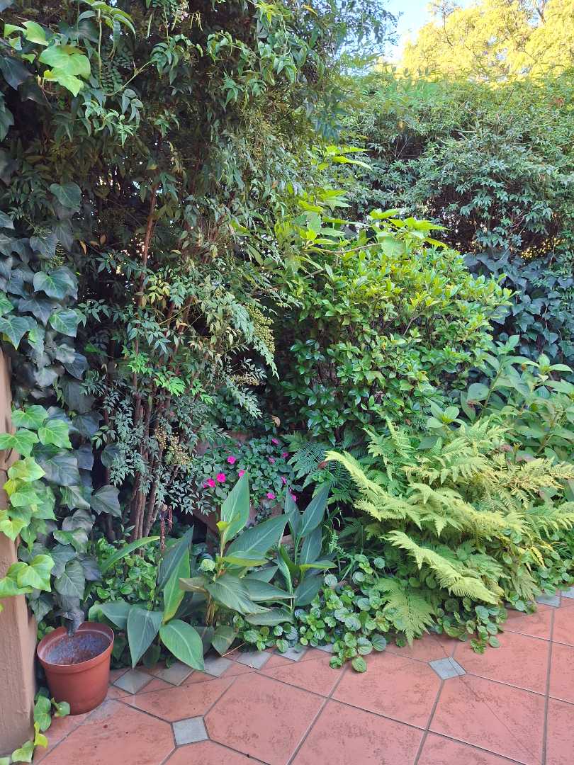 2 Bedroom Property for Sale in Randpark Ridge Gauteng