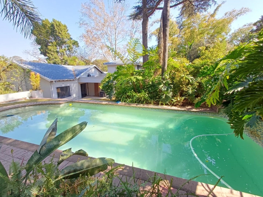 To Let 3 Bedroom Property for Rent in Ferndale Gauteng