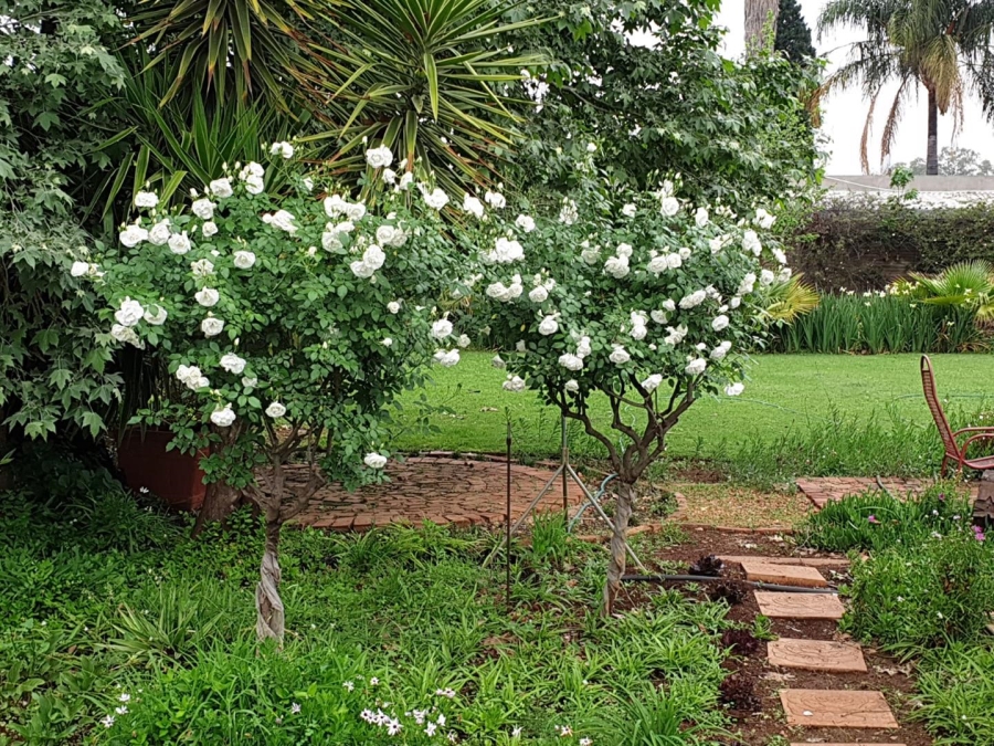 3 Bedroom Property for Sale in Honingnestkrans Gauteng