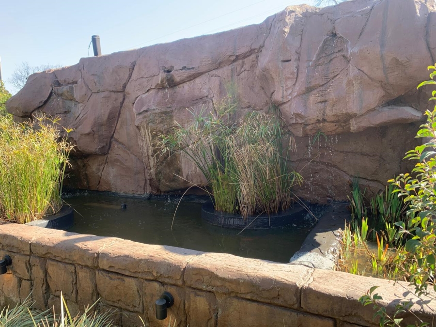 3 Bedroom Property for Sale in Van Riebeeck Park Gauteng