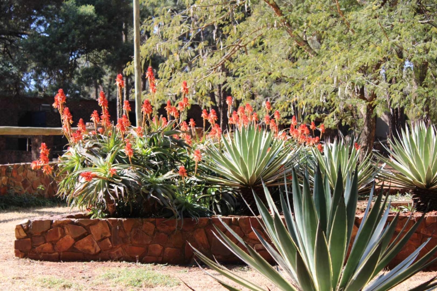 3 Bedroom Property for Sale in Doornkloof A H Gauteng