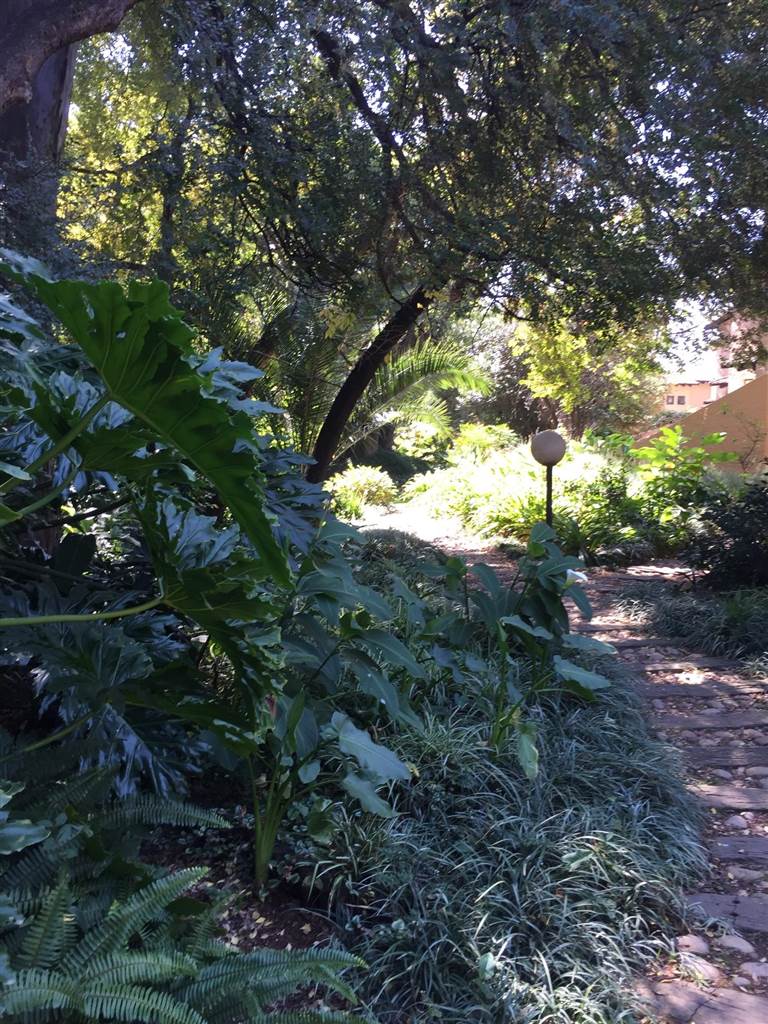 To Let 2 Bedroom Property for Rent in Sandown Gauteng