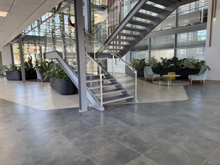 To Let commercial Property for Rent in Illovo Gauteng