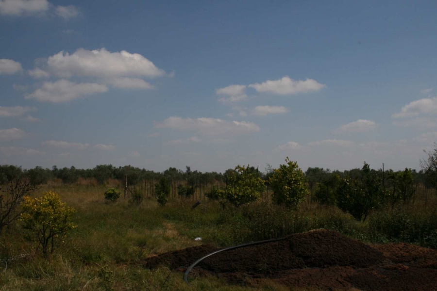 3 Bedroom Property for Sale in Elandsvlei Gauteng