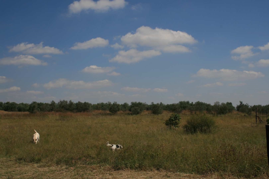 3 Bedroom Property for Sale in Elandsvlei Gauteng
