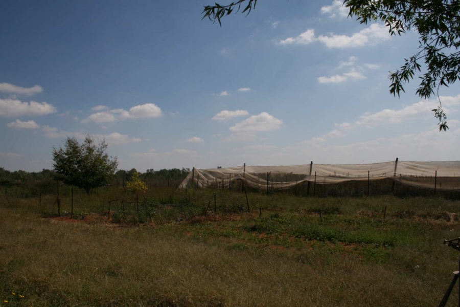 3 Bedroom Property for Sale in Elandsvlei Gauteng