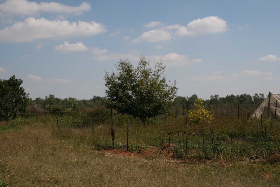 3 Bedroom Property for Sale in Elandsvlei Gauteng
