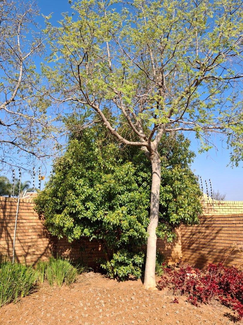 3 Bedroom Property for Sale in Equestria Gauteng