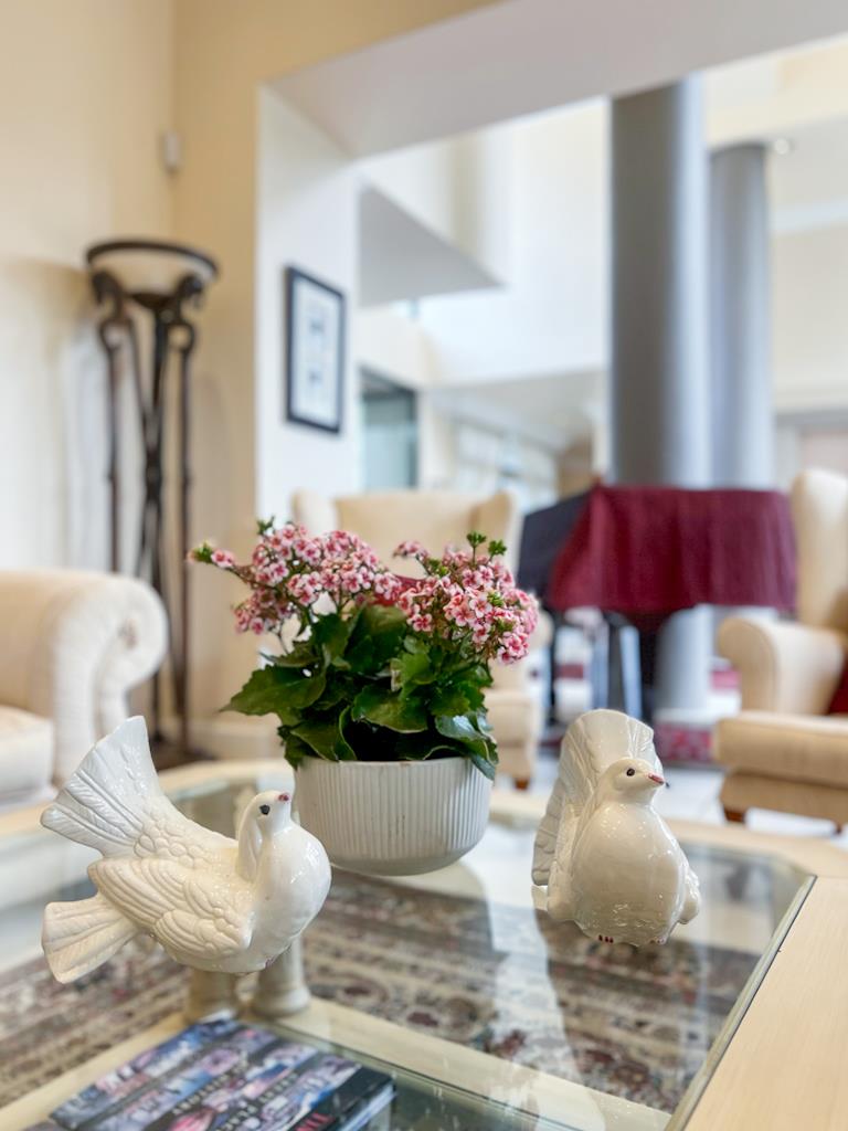 4 Bedroom Property for Sale in Faerie Glen Gauteng