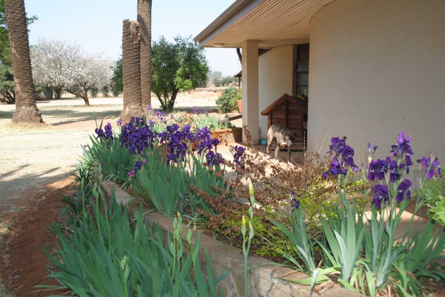 To Let 3 Bedroom Property for Rent in Eikenhof Gauteng