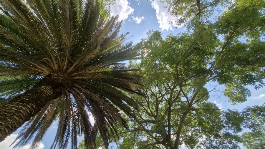 3 Bedroom Property for Sale in President Ridge Gauteng