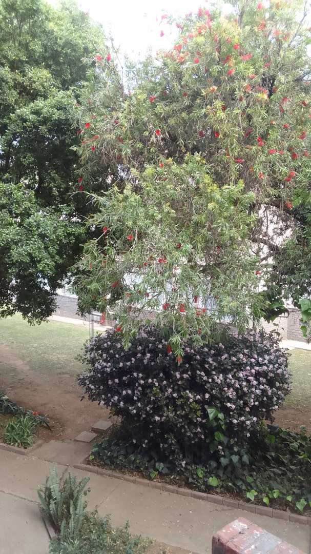 1 Bedroom Property for Sale in Bonaero Park Gauteng