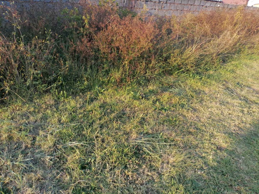 0 Bedroom Property for Sale in Payneville Gauteng