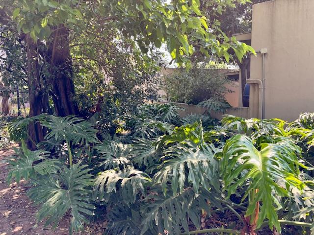 4 Bedroom Property for Sale in Newlands Gauteng