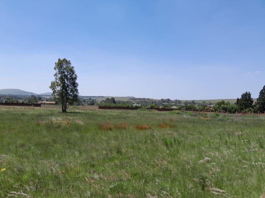 0 Bedroom Property for Sale in Eikenhof Gauteng