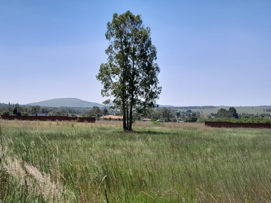 0 Bedroom Property for Sale in Eikenhof Gauteng