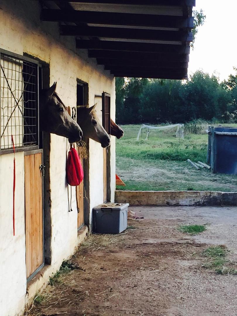 4 Bedroom Property for Sale in Bronkhorstspruit Rural Gauteng