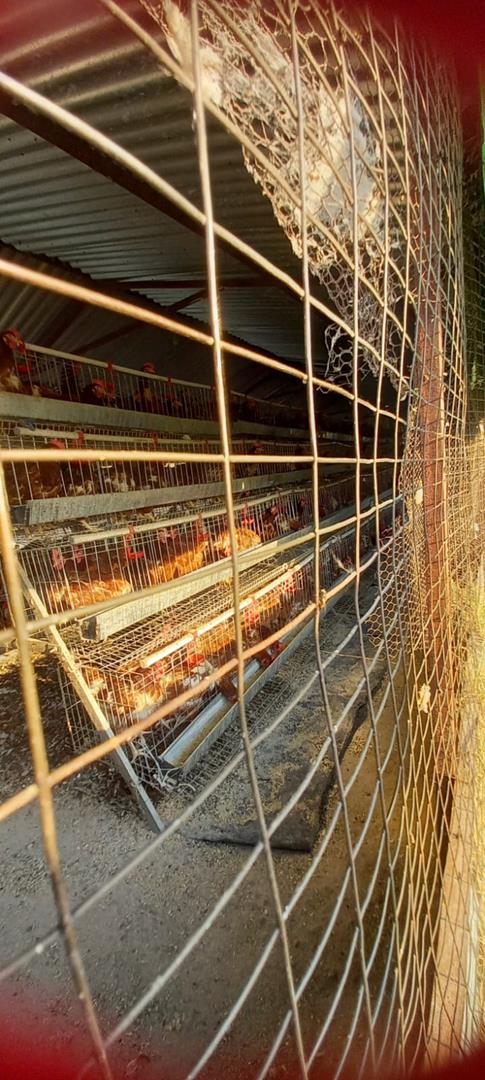 5 Bedroom Property for Sale in Vissershoek AH Gauteng