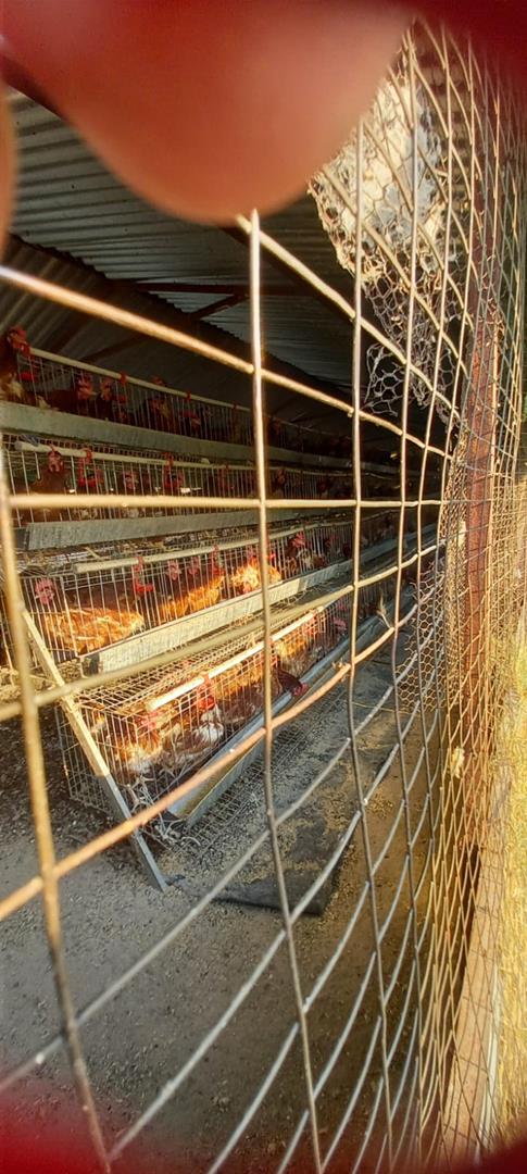 5 Bedroom Property for Sale in Vissershoek AH Gauteng