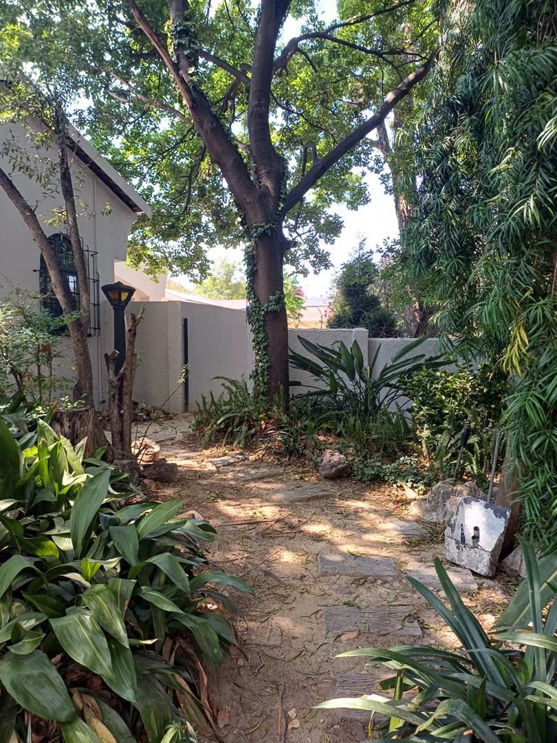 To Let 3 Bedroom Property for Rent in Ferndale Gauteng