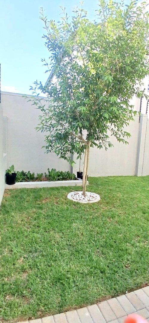 To Let 3 Bedroom Property for Rent in Broadacres Gauteng