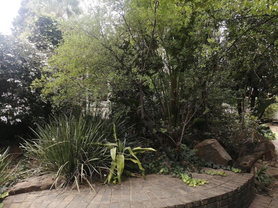 6 Bedroom Property for Sale in Morningside Gauteng