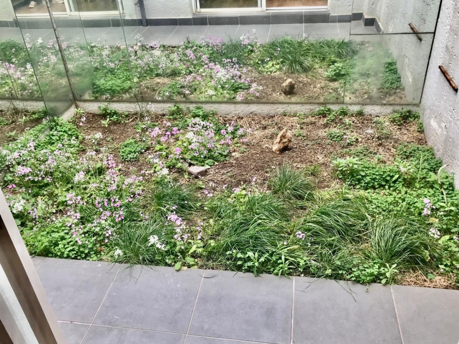 To Let 3 Bedroom Property for Rent in Melrose North Gauteng