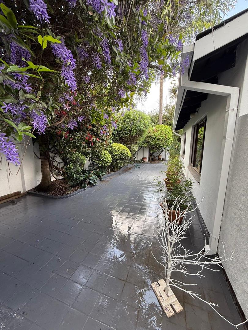 To Let 3 Bedroom Property for Rent in Melrose North Gauteng