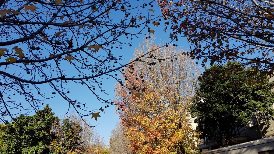 1 Bedroom Property for Sale in Morningside Gauteng