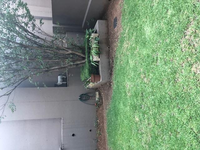 To Let 1 Bedroom Property for Rent in Bryanston Gauteng