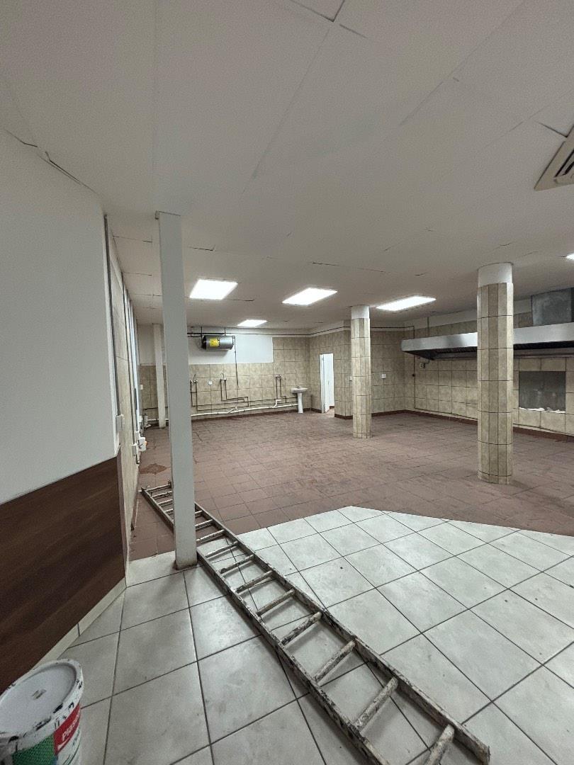 To Let commercial Property for Rent in Arcadia Gauteng