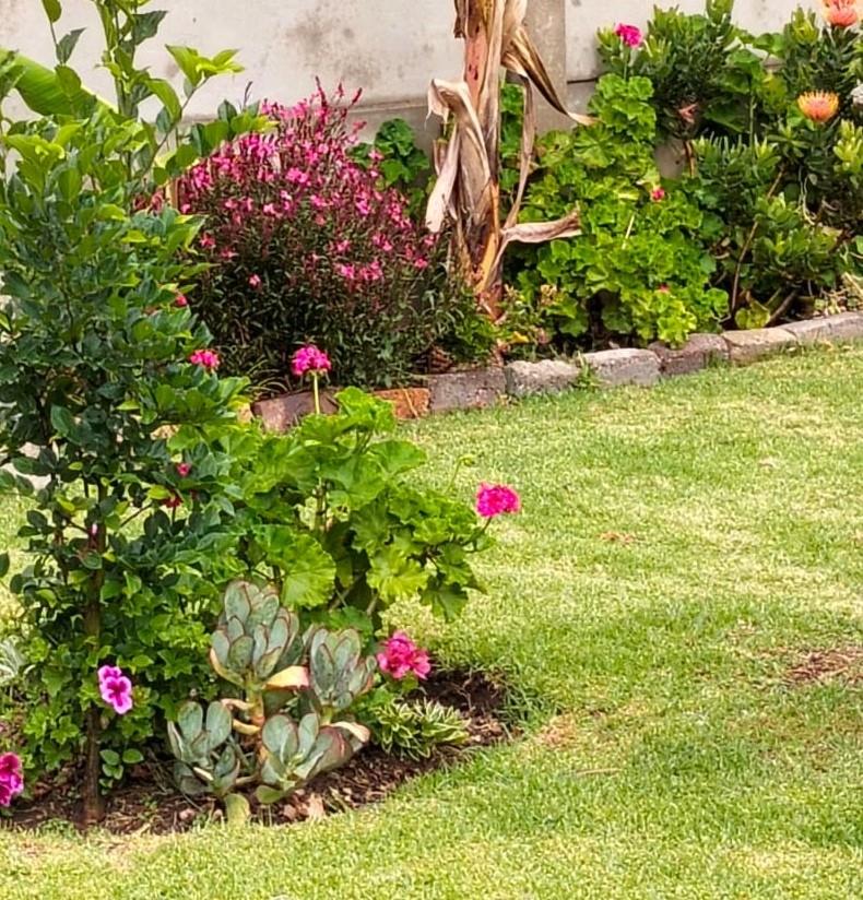 3 Bedroom Property for Sale in General Albertspark Gauteng