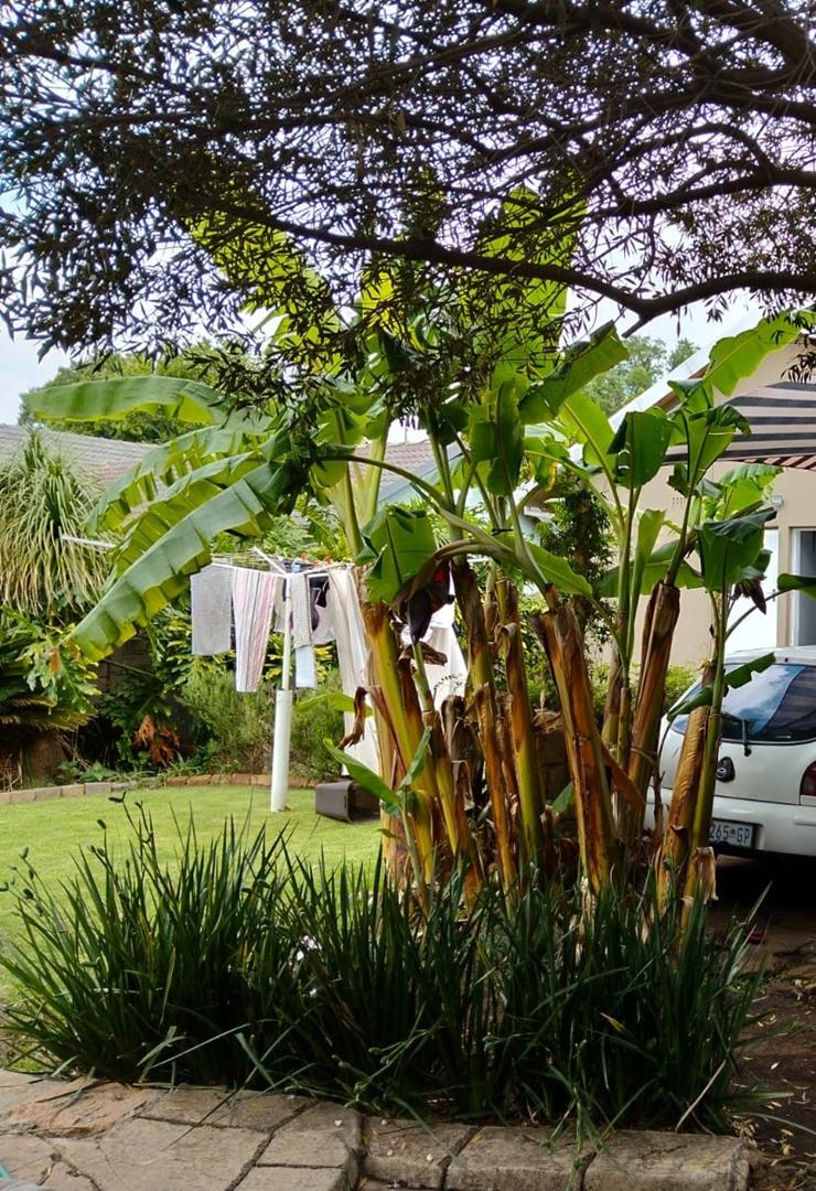 3 Bedroom Property for Sale in General Albertspark Gauteng