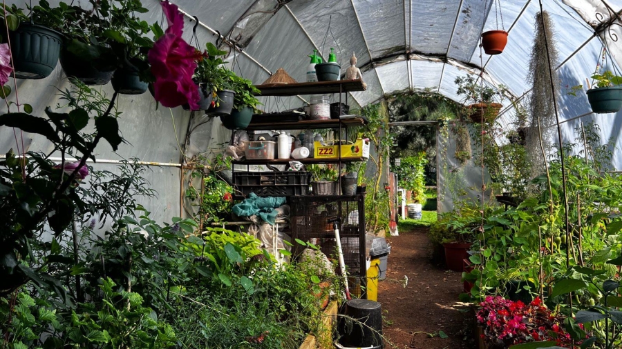 0 Bedroom Property for Sale in Northmead Gauteng