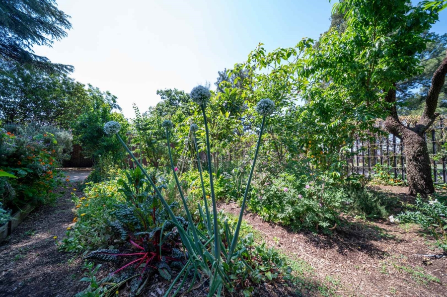 0 Bedroom Property for Sale in Northmead Gauteng