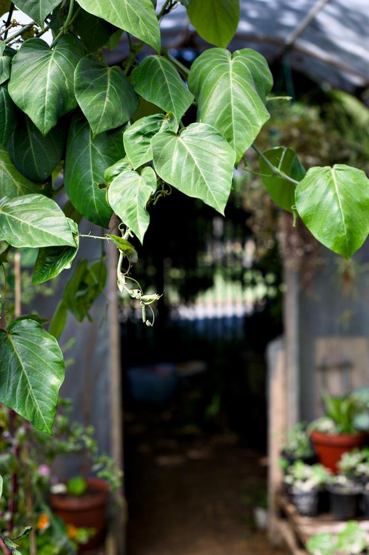 0 Bedroom Property for Sale in Northmead Gauteng