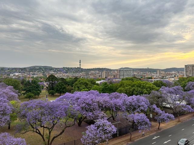 2 Bedroom Property for Sale in Arcadia Gauteng