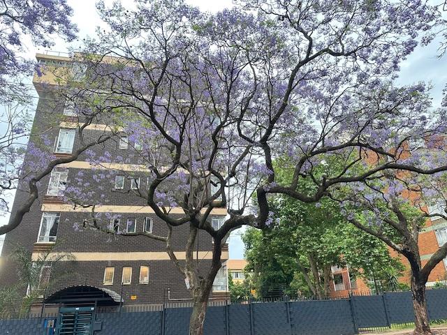 2 Bedroom Property for Sale in Arcadia Gauteng