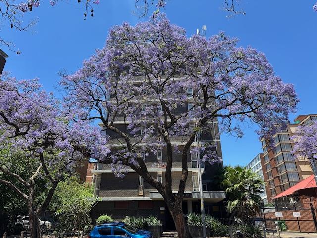 2 Bedroom Property for Sale in Sunnyside Gauteng